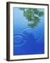 Branch with Green Leaves Suspended Over Deep Blue Water with Rings And Reflection-null-Framed Photographic Print