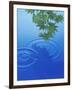 Branch with Green Leaves Suspended Over Deep Blue Water with Rings And Reflection-null-Framed Photographic Print