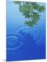 Branch with Green Leaves Suspended Over Deep Blue Water with Rings And Reflection-null-Mounted Photographic Print