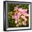 Branch with Pink Flowers Square Format-Tanya Ru-Framed Photographic Print