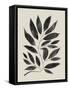 Branched Composition II-Grace Popp-Framed Stretched Canvas