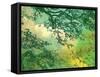 Branches and Clouds-James McMasters-Framed Stretched Canvas