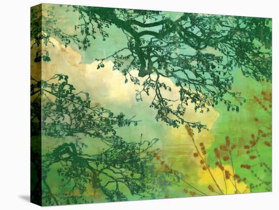 Branches and Clouds-James McMasters-Stretched Canvas