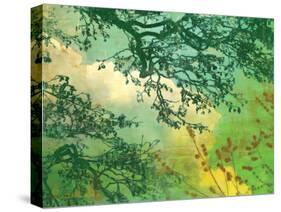 Branches and Clouds-James McMasters-Stretched Canvas