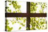 Branches and Lattice-Karyn Millet-Stretched Canvas