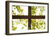 Branches and Lattice-Karyn Millet-Framed Photographic Print