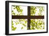 Branches and Lattice-Karyn Millet-Framed Photographic Print
