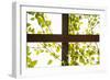 Branches and Lattice-Karyn Millet-Framed Photographic Print