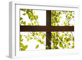 Branches and Lattice-Karyn Millet-Framed Photographic Print