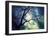 Branches at Night-Ursula Abresch-Framed Photographic Print