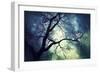 Branches at Night-Ursula Abresch-Framed Photographic Print