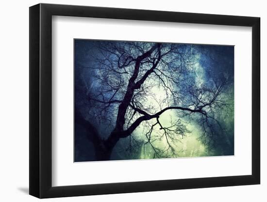 Branches at Night-Ursula Abresch-Framed Photographic Print