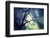 Branches at Night-Ursula Abresch-Framed Photographic Print