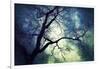 Branches at Night-Ursula Abresch-Framed Photographic Print