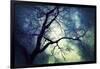 Branches at Night-Ursula Abresch-Framed Photographic Print