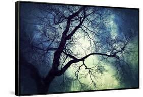 Branches at Night-Ursula Abresch-Framed Stretched Canvas