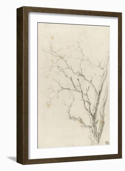 Branches d'arbre dépouillées-Pierre Henri de Valenciennes-Framed Giclee Print