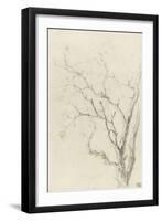 Branches d'arbre dépouillées-Pierre Henri de Valenciennes-Framed Giclee Print