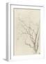 Branches d'arbre dépouillées-Pierre Henri de Valenciennes-Framed Giclee Print