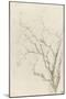 Branches d'arbre dépouillées-Pierre Henri de Valenciennes-Mounted Giclee Print
