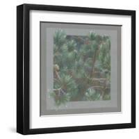 Branches de Pin-A^C^ Jacquin-Framed Art Print