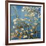 Branches fleuries d'amandier (Détail)-Vincent van Gogh-Framed Art Print