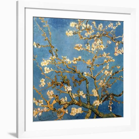 Branches fleuries d'amandier (Détail)-Vincent van Gogh-Framed Art Print