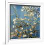 Branches fleuries d'amandier (Détail)-Vincent van Gogh-Framed Art Print