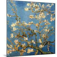 Branches fleuries d'amandier (Détail)-Vincent van Gogh-Mounted Art Print