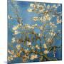Branches fleuries d'amandier (Détail)-Vincent van Gogh-Mounted Art Print