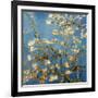 Branches fleuries d'amandier (Détail)-Vincent van Gogh-Framed Art Print