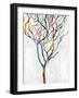 Branches I-Kyle Webster-Framed Art Print