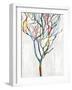 Branches I-Kyle Webster-Framed Art Print