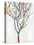 Branches I-Kyle Webster-Stretched Canvas