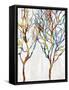 Branches II-Kyle Webster-Framed Stretched Canvas