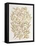 Branches in Gold-Cat Coquillette-Framed Stretched Canvas