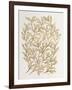 Branches in Gold-Cat Coquillette-Framed Giclee Print