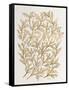 Branches in Gold-Cat Coquillette-Framed Stretched Canvas