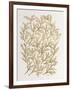 Branches in Gold-Cat Coquillette-Framed Giclee Print