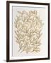 Branches in Gold-Cat Coquillette-Framed Giclee Print