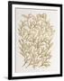 Branches in Gold-Cat Coquillette-Framed Giclee Print