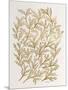 Branches in Gold-Cat Coquillette-Mounted Giclee Print