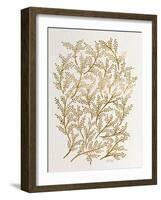 Branches in Gold-Cat Coquillette-Framed Giclee Print