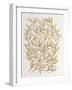 Branches in Gold-Cat Coquillette-Framed Giclee Print