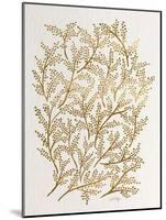 Branches in Gold-Cat Coquillette-Mounted Giclee Print