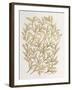 Branches in Gold-Cat Coquillette-Framed Giclee Print