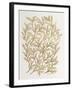 Branches in Gold-Cat Coquillette-Framed Giclee Print