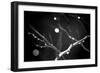 Branches in Rain-Ursula Abresch-Framed Premium Photographic Print