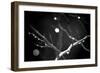 Branches in Rain-Ursula Abresch-Framed Photographic Print