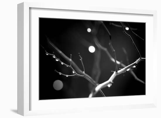 Branches in Rain-Ursula Abresch-Framed Photographic Print